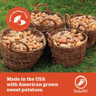 Tickled Pet Sweet Potato Frenched | Dog Treats Dog Treats