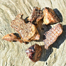 Fork The Pork - Pork Lung dog chew