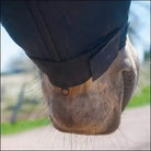 BeneFab Rejuvenate Smarthood - Large, Medium, XL