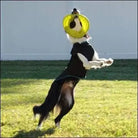 BeneFab Therapeutic Canine Comfort Shirt - Small, Medium or Large Dog