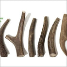 Buck Bone Organics Deer Antler Dog Chews Premium Grade A, 6 Pack Dog