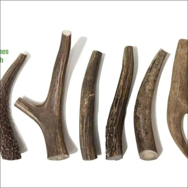 Buck Bone Organics Deer Antler Dog Chews Premium Grade A, 6 Pack Dog