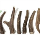 Buck Bone Organics Premium Deer Antler Dog Chew - Multiple Sizes Dog