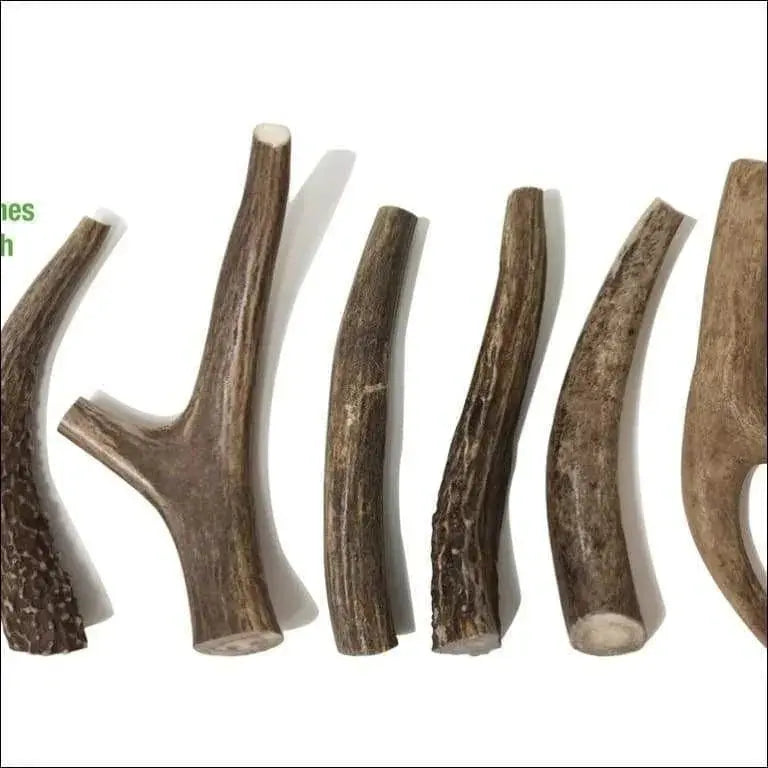 Buck Bone Organics Premium Deer Antler Dog Chew - Multiple Sizes Dog