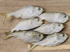 Freeze Dried Menhaden- Small Dog