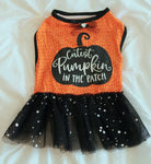 Halloween Pet Dress Cutest Pumpkin in the Patch Medium Dog