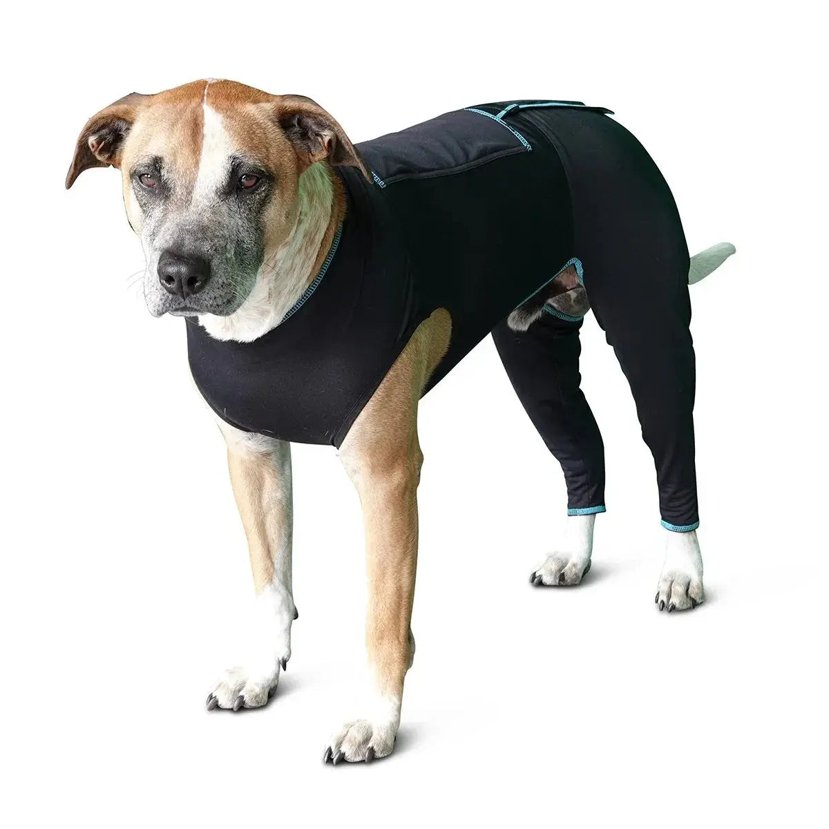 Benefab Canine Comfort Suit Dog