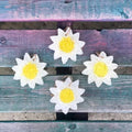 Daisy Jelly Car Scent Air Freshener