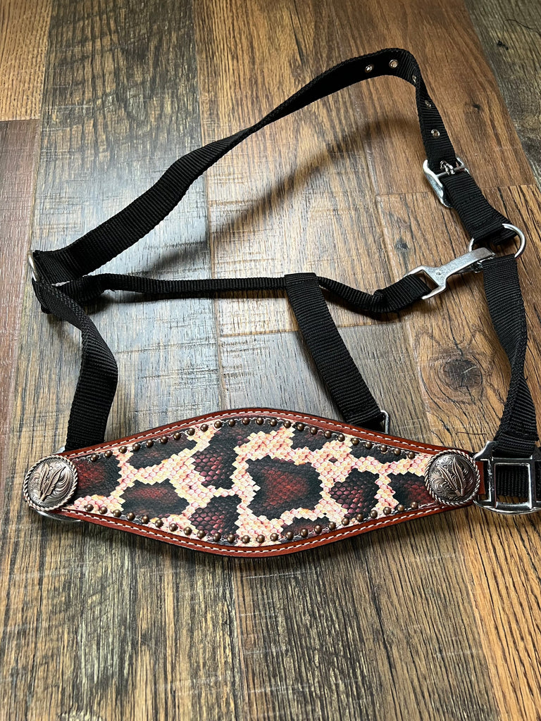 Snake Skin Bronc Nose Band Halter – KP Pet Supply