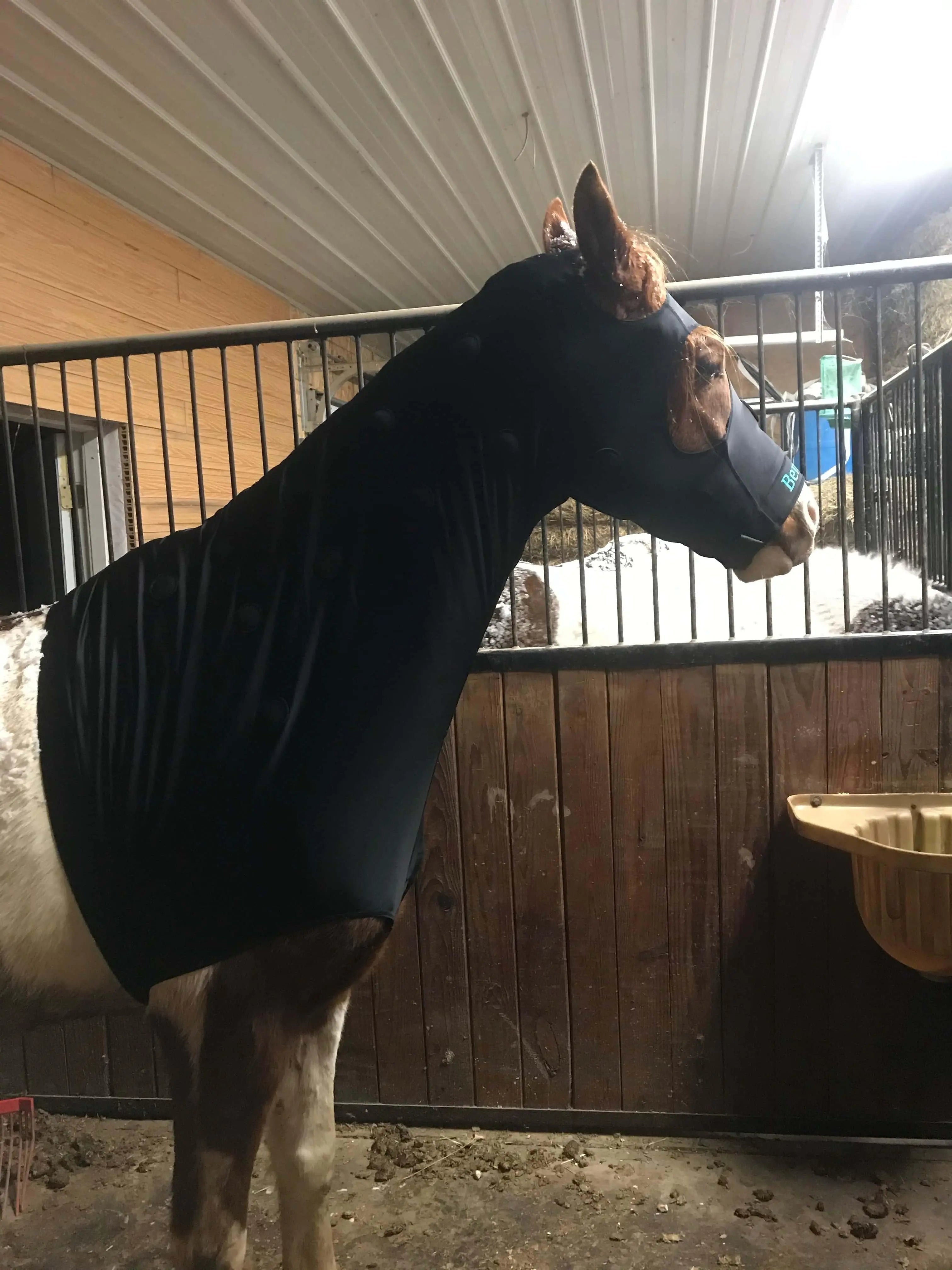 BeneFab Rejuvenate Smarthood - Large, Medium, XL