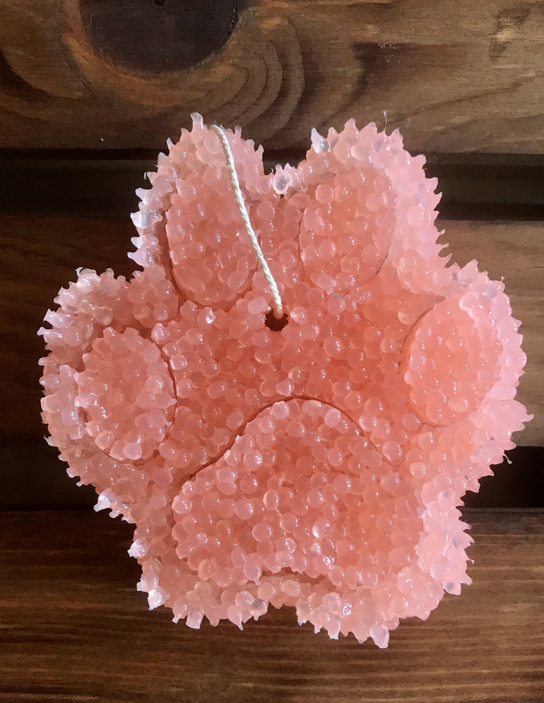 a close up of a pink flower in a vase 