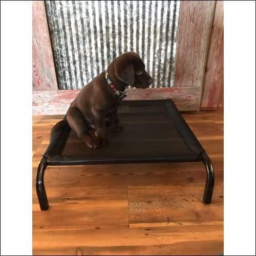 a small dog sitting on a wooden bench 