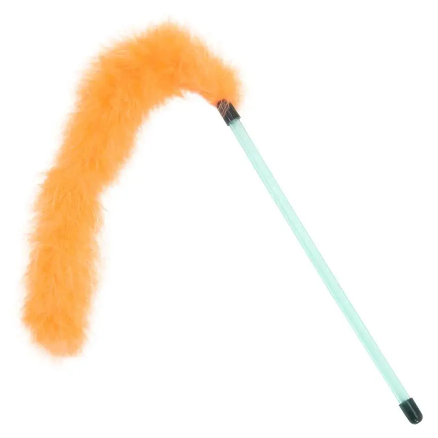 CAT WAND Cat